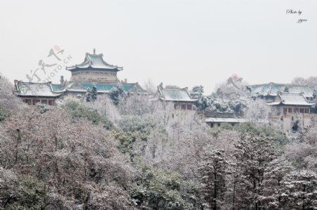 武汉大学樱顶雪景