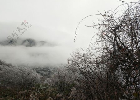 峨眉山的雾