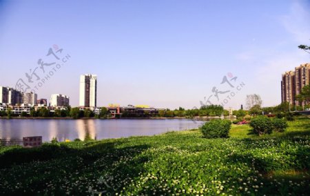 武汉金银湖风景
