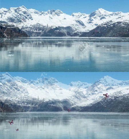 梦幻雪山下平静的湖泊图片视频