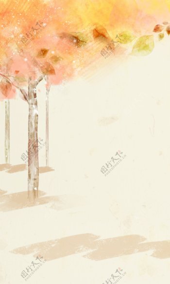 秋日枫树背景