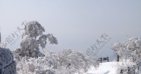 鸡公山雪景