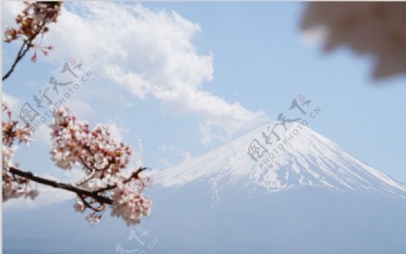 富士山