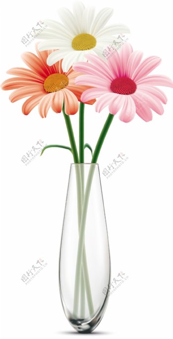 透明花瓶里的彩色花朵矢量