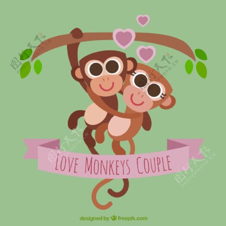 可爱情侣猴子