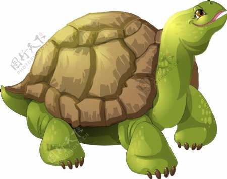 可爱卡通动物乌龟