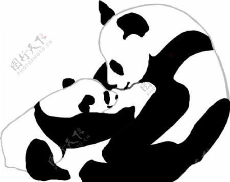 熊猫妈妈和小熊猫