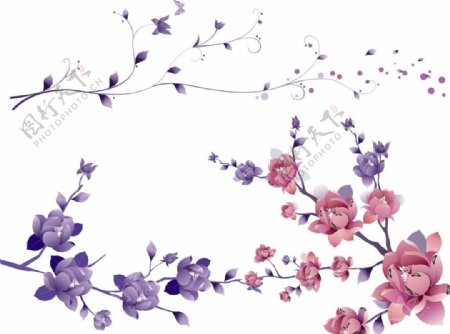 紫色花朵粉色花朵