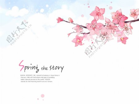 樱花美丽简约手绘背景素材