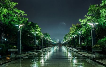上海世博大道雨夜街景