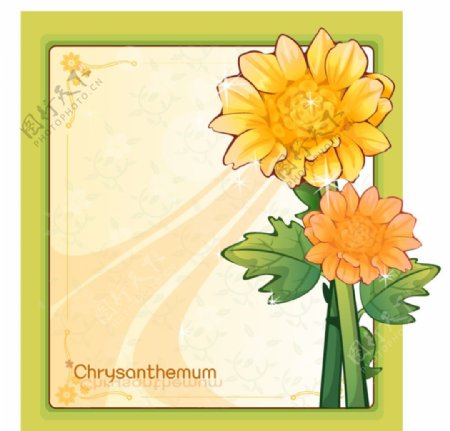 绿色边框和橙色菊花插画