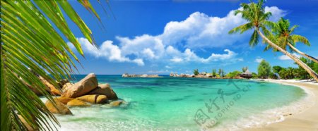 海岛海滩椰树全景摄影