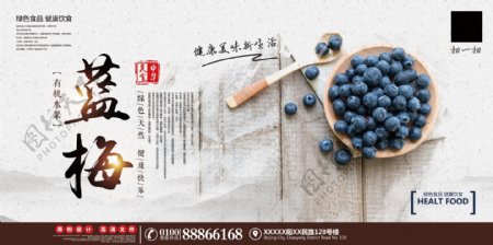 新鲜水果蓝莓宣传海报展板设计