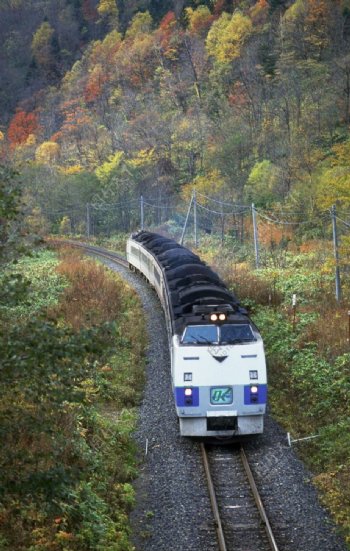树林中行驶的火车