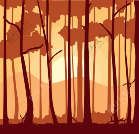 春季黄昏树林插图