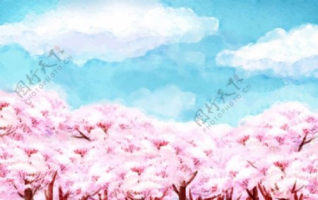 手绘水彩樱花林插图