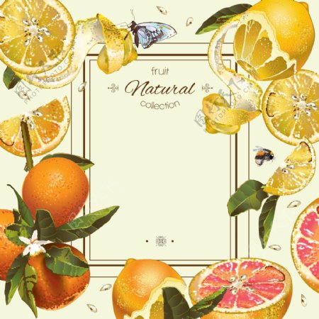 水彩手绘橙子柠檬蜂蜜矢量背景素材