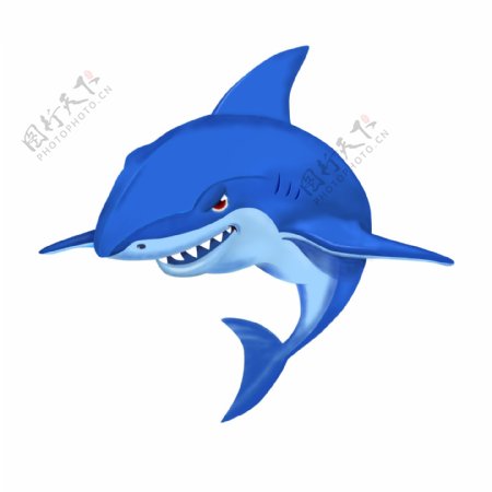 鲨鱼插画素材