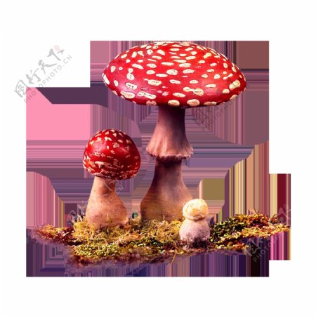 手绘红色蘑菇元素