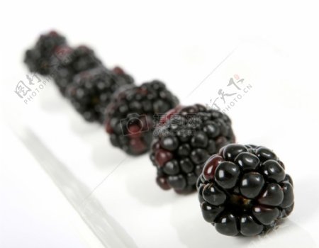 夏季水果色拉配料黑莓在一条线