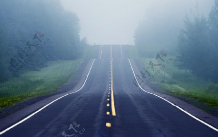 乡间公路上的浓雾景色图片