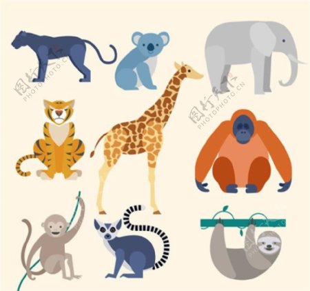 9款卡通野生动物矢量图