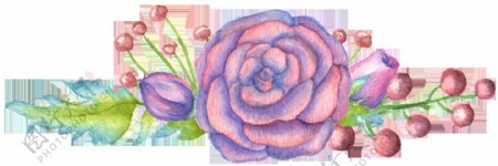 美艳大红大紫花卉图片素材