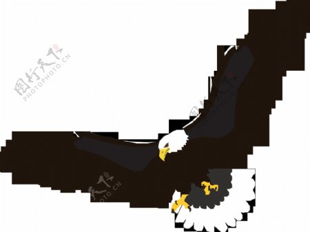 飞翔的黑色老鹰图片免抠png透明图层素材