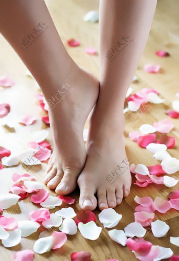玫瑰花瓣和美脚足疗图片