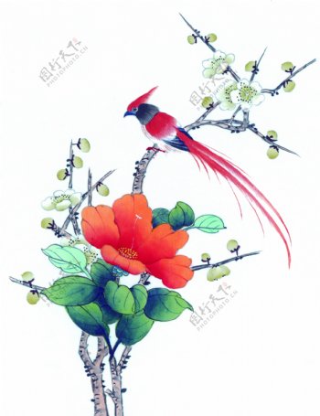 花卉鸟类国画艺术图片