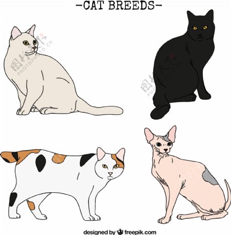 4款可爱彩绘猫咪设计矢量素材