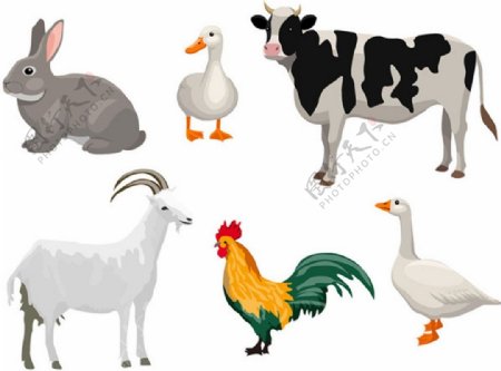 农场动物装饰图标