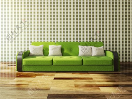 地板上的绿色沙发图片