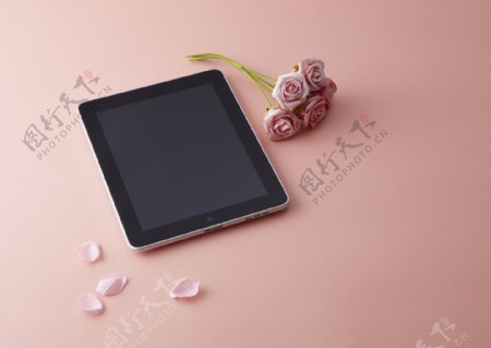 ipad2与玫瑰花图片