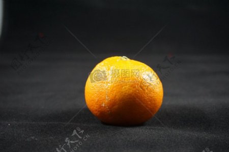 一颗橘子特写