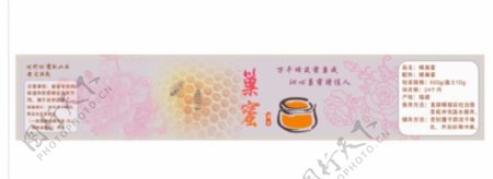 巢蜜蜜峰卡通实物蜜蜂蜜蜂素描