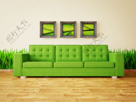 绿色沙发和植物
