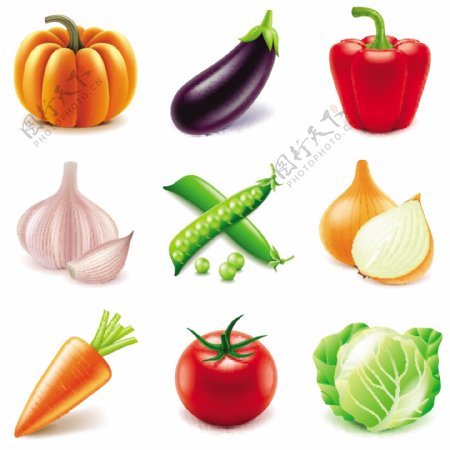 9款新鲜蔬菜设计矢量素材