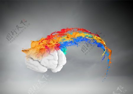 大脑与彩虹