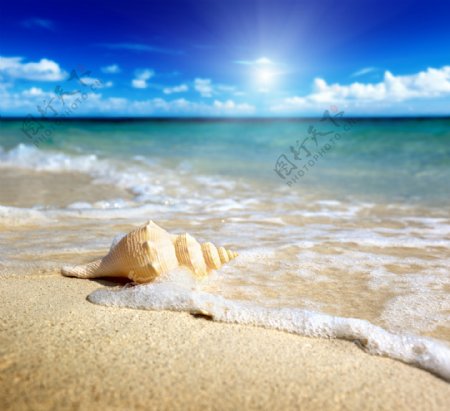夏日沙滩风景图片图片