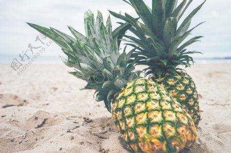 健康海水沙滩沙滩水果海边户外菠萝