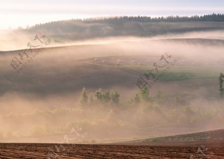 田园雾景摄影图片