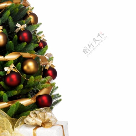 装饰圣诞树与礼盒图片