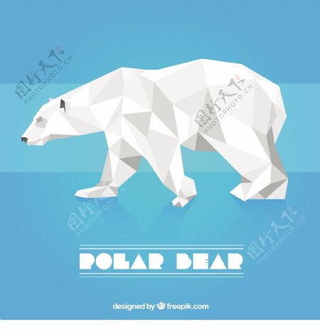 多边形的北极熊