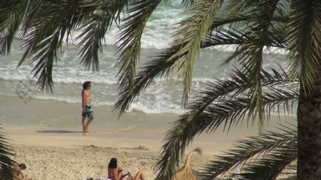 在西班牙海滩股票视频的棕榈树和波