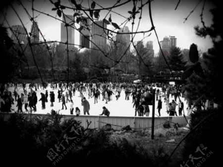 中央公园的溜冰场