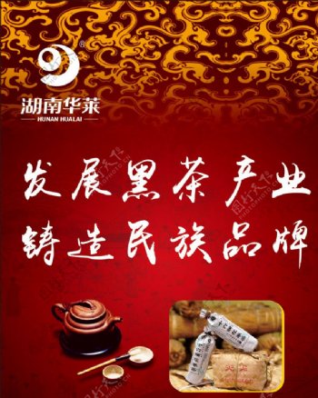 湖南华莱安化黑茶茶文化