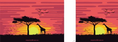 日落大草原的长颈鹿
