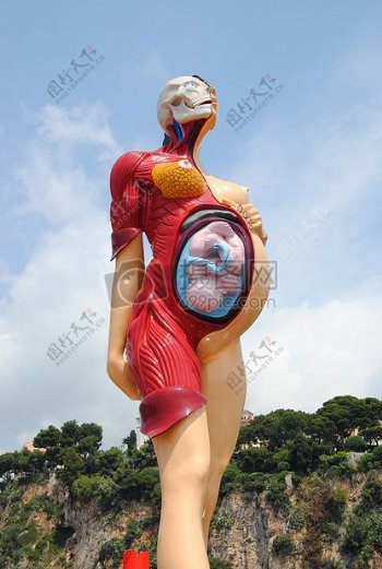 怀孕的女性身体模型