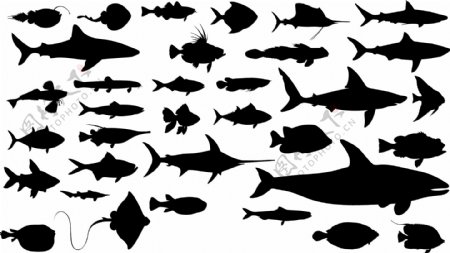 鱼的素材矢量图